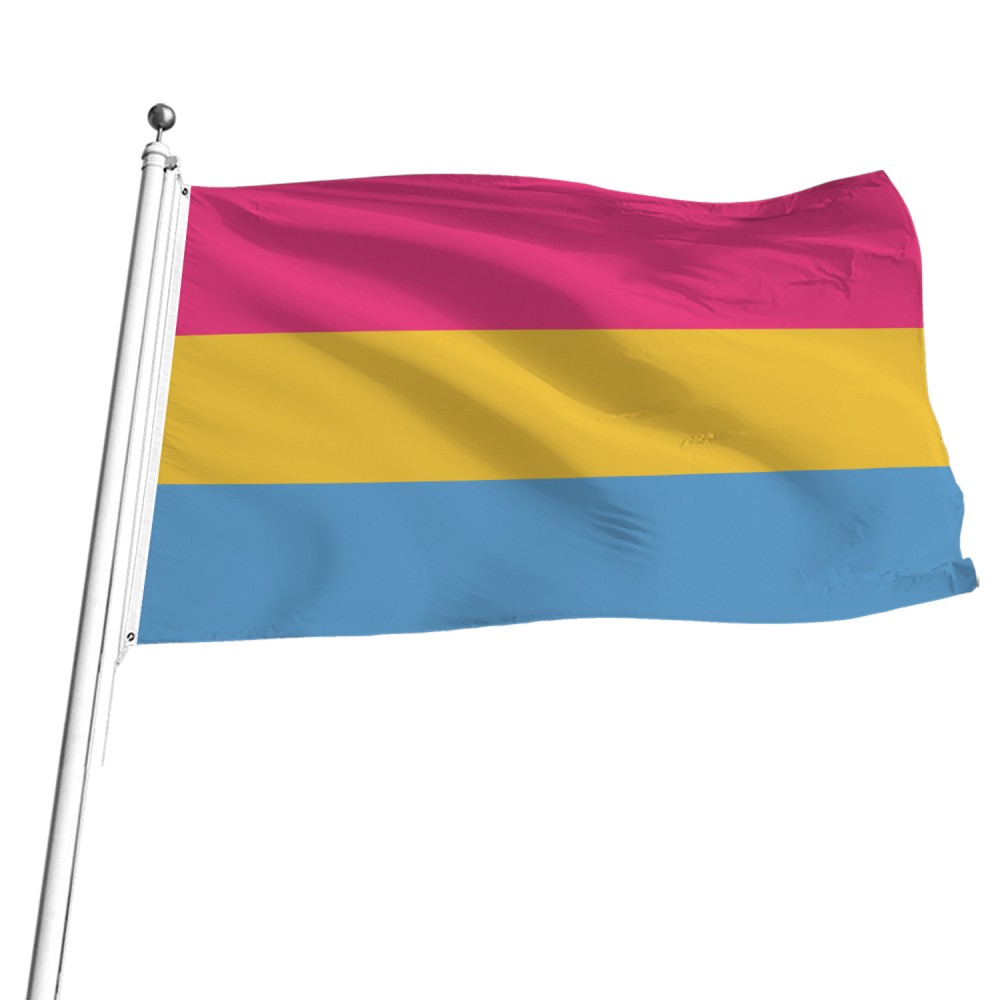דגל גאווה גדול פאנסקסואל דגל גאווה גדול פאנסקסואל